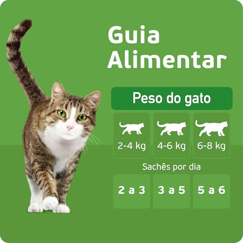 Pack Ração Úmida Kitekat Sachê Cordeiro ao Molho para Gatos Adultos 70 g - 48 unidades