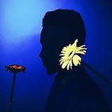 Tumblr Music [Explicit]