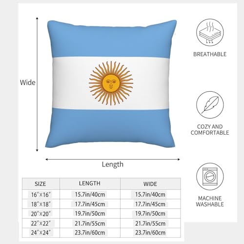 Housse de coussin drapeau argentin EdWal pour rénover un canapé usé facilement - 5