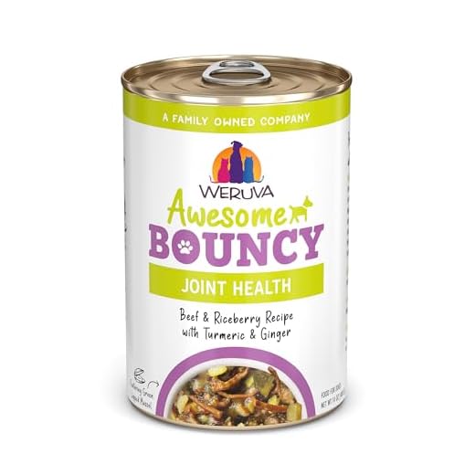 Weruva Awesome Bouncy Wet Dog Food, Beef & Brown Rice, 14oz Can (Pack of 10)