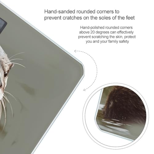 Báscula digital para cuerpo Otter Animal, alta precisión miniatura 4
