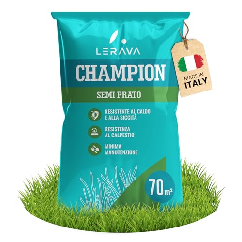 LERAVA CHAMPION semi prato (70m²) - festuca arundinacea di qualità