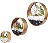 Gold 3 Pcs Round Indoor Wall Succulent Hanging Planter, Metal Decorative Freestanding Mount Holder with Glass for Air Plants, Faux Flower