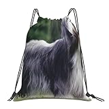 bywenhopnbs zaino con coulisse per sport e palestra, resistente all'acqua, per cani e donne, con motivo bearded collie, beardie, curly gray dogs pets