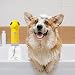 Imagen de Dispensador Eléctrico De Champú En Espuma para Perros