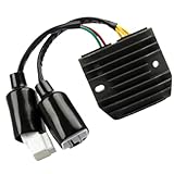 Entwickelt für Motorräder, die eine gleichmäßige Leistungsregulierung unter unterschiedlichen Fahrbedingungen und Belastungen erfordern