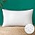 MIULEE 12x20 Inch Outdoor Pillow Insert Waterproof Decorative Throw Pillow Insert, Rectangle Lumbar Garden Pillow Form for Patio Sofa Couch