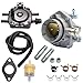 SecosAutoparts Carburetor Kit Compatible with ONAN NIKKI 6100 27-161 146-0478 060