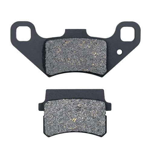 Plaquettes de frein avant de rechange pour entretien Buggies 80T 2008