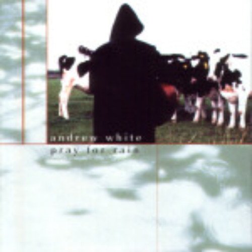 Pray For Rain [Audio CD] WHITE,ANDREW