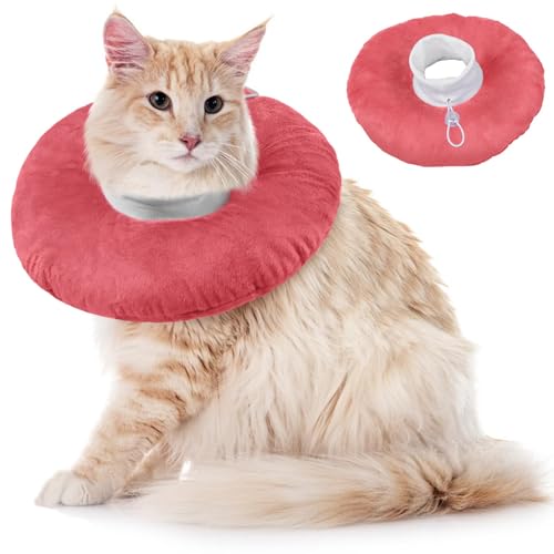 LETSQK LbgR[J[ \tgL Lp񕜎֔Lp킢h[icGUxXR[ h rߖh~ ݕth~  ߉\ȉKfUC sN