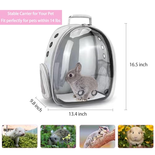 CUTENNIOU Mochila transportadora de animais de estimação pequena transportadora de coelho com colete