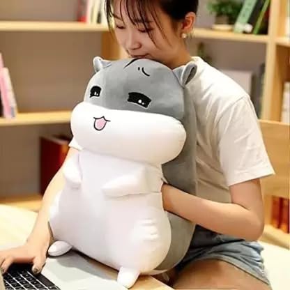 SHRI TOYS Cute Hamster Soft Toy Ragdoll Doll Big Pillow Girl Sleeping Bed Cute Girl Birthday Gift for Kids | 35 CM |