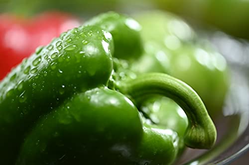 Nikon Z MC 105 mm 1:2,8 VR S schwarz – Bild 6