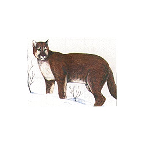 Maple Leaf NFAA Animal Faces Group 2 Cougar