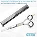 Friseurschere Scharfe Haarschere GTEX 6,5 Zoll Professionelle Haarschneideschere Prämie Schere Haare Schneiden mit Kamm und Etui, Hair Scissors