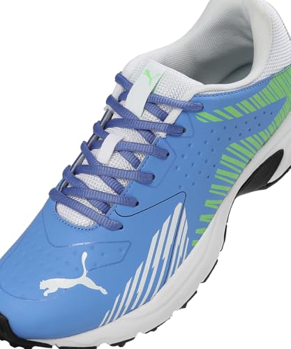 Image of Puma Men Cricket Power Cricket Shoe
