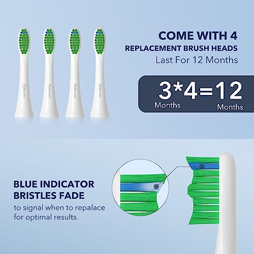 Image of Arisson Sonic Electric Toothbrush for Adults and Kids with 4 Brush Heads, Type C Fast Charging, 40,000 VPM, 3 Mode with 2 Minutes Smart Timer, 1.6 Oz-Snow White
