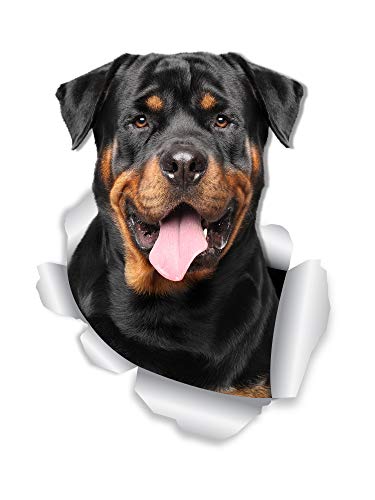 Winston & Bear Lot de 2 stickers muraux Motif chien Rottweiler souriant Rottweiler 3D pour fenêtre de voiture et pare-chocs Cover