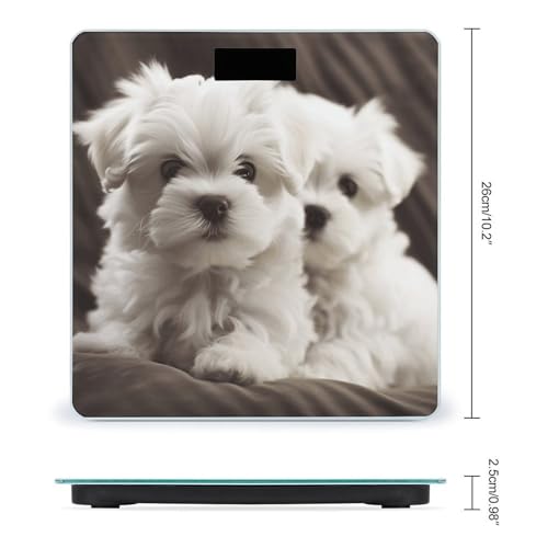 Báscula digital de baño con diseño cachorro Maltés miniatura 2