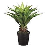 SilksAreForever 32' Agave Attenuata planta artificial con maceta, verde