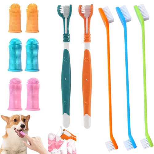 Juego de 11 cepillos de dientes para perros, 2 cepillos de dientes de doble muerto con 6 cepillos de dientes para mascotas, 3 cepillos de dientes de doble muerto, productos de limpieza de dientes de