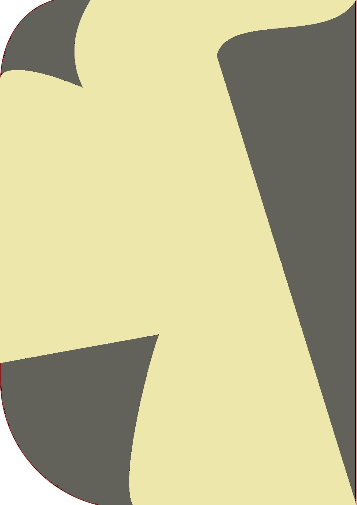 Cam Cart 6Ft X 9ft ,2 in 1 Colors Single Photography Backdrop(Dark Grey & Beige 2 in 1)(Color Reflector)