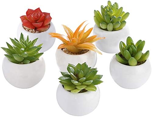 LOMIRO Artificial Succulent Plants Assorted Faux Small Succulents with White Ceramic Pots,Home,Office,Party,Wedding,Desk Decors, Modern,Multi Color,Set of 6