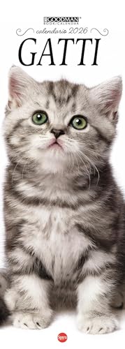 Gatti. Calendario 2026. Long (Lisa Goodman Long) für 11,33 EUR bei amazon.de Bild: Gatti. Calendario 2026. Long (Lisa Goodman Long) für 11,33 EUR bei amazon.de