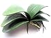 1 X Artificial Green Flower Orchid Phalaenopsis Leaves Decorative Potted Plant Leaf Arrangement