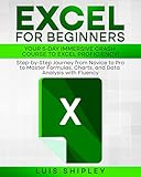 office excel online help  EXCEL FOR BEGINNERS: YOUR 5-DAY: IMMERSIVE CRASH COURSE TO EXCEL PROFICIENCY! - Step-by-Step Journey from Novice to Pro to Master Formulas, Charts, and Data Analysis with Fluency (English Edition)