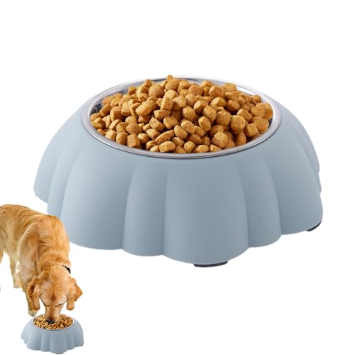 p {E, ڂ` XΎ ~ HM, XeX ybg{E, qEqLp OEsEƒE