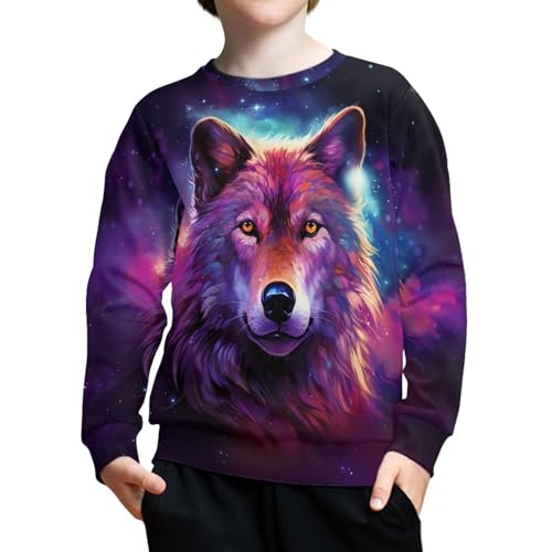 HUIACONG Cool Starry Wolf Boys Sweatshirts Galaxy Wolf Kids Athletic Pullover Child Long Sleeve Shirt Toddler Sportswear Young Casual Clothes Tshirt Active Sweater Size 8-103