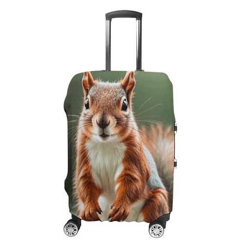 Carry on Luggage Cover Cute Squirrels Suitcase Covers for Luggages Tsa Approved Travel Luggage Sleeve Protector Elastic Suitcase Protector Anti-Scratch Washable Fits 19-30 Inch Case -L