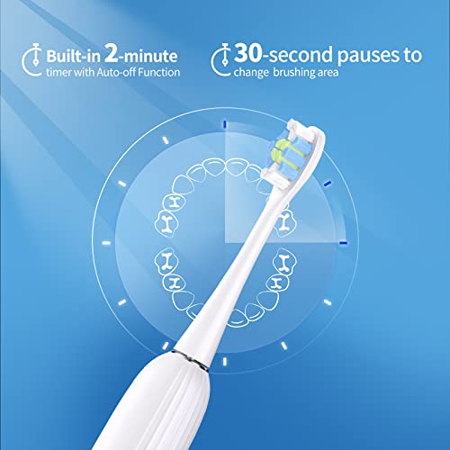Mayze Sonic Electric Toothbrush With 6 Brush Heads For Adults And Kids, 30000Vpm One Charge For 60 Days, 5 Modes With 2 Minutes Build In Smart Timer, Electric Toothbrushes (Black) #TOP5