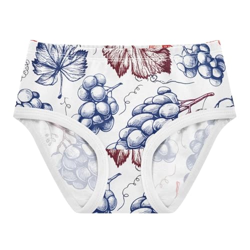 Vintage Red Blue Grape White Girls Underwear Toddlers 2t Cotton Panties for Girl Flower Kids Briefs Undies