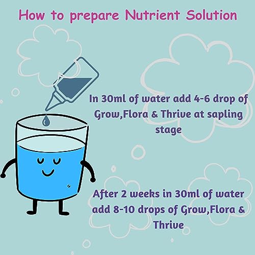 City Greens Seed Starter Kit for 15 Plants (Seeds, Cocopeat, Clay Pebbles, Net Pots, Instruction Set, Nutrient Enriched, Neem Oil Treated)