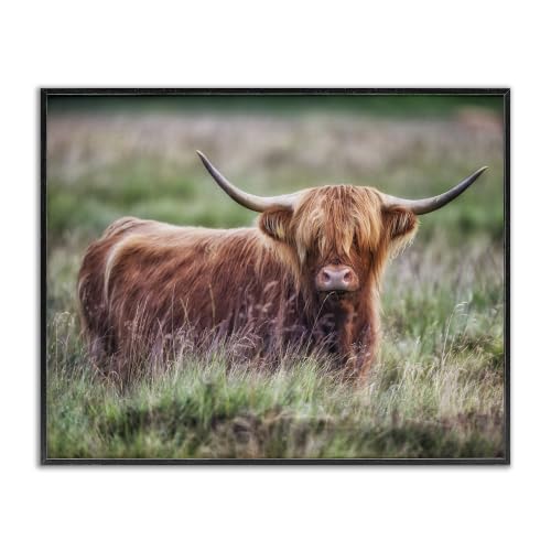 Highland Longhorn Cattle Grazing, 16 x 20 Inch Framed Giclée Print