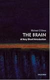  The Brain: A Very Short Introduction (Very Short Introductions) (English Edition)