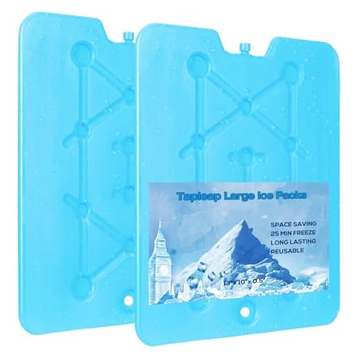 Tapleap Large Ice Packs for Coolers - Freezer Packs for Camping- Long Lasting Reusable Dry Ice Blocks, 13 x 10 x 0.5 inch, Quick Freeze - Set of 2