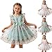 Toddler Girls Ruffle Sleeve Floral Embroidery Dress, A-Line Cute Tulle Princess Formal Birthday Party Dresses for 3-8 Years