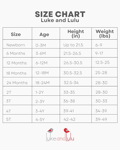 Luke & Lulu 2nd Birthday Themed Shirts for Boy Gifts for 2 Year Old Boys Shirts Toddler Tshirt Second, Mickeytoodlesblackshirt, 2 Years