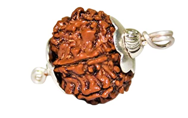 AstroCart Certified by Lab Oval Shape Beech Brown Bead Rudraksha with Red Dori 8 Mukhi Nepali Rudraksha Blessings of Lord Shiva Aath Mukhi Rudraksha आठ मुखी रुद्राक्ष Ashta Mukhi 8 मुखी रुद्राक्ष-image-27