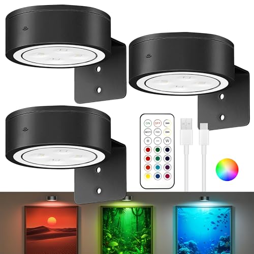 3Pack Picture Lights for Wall, RGB Color Changing Led Art Display Light with Rechargeable Battery Operated, Magnetic Painting Light with Remote Control, Wireless Home Wall Decorative Lighting, Black