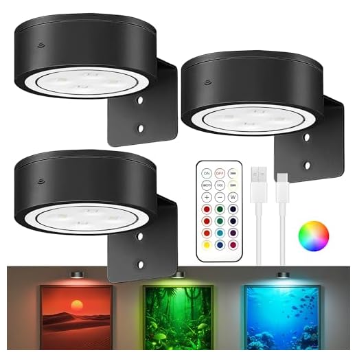 3Pack Picture Lights for Wall, RGB Color Changing Led Art Display Light with Rechargeable Battery Operated, Magnetic Painting Light with Remote Control, Wireless Home Wall Decorative Lighting, Black