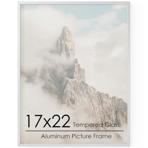17x22 Metal Picture Frame, Aluminum Poster Frame with Real Glass, Silver
