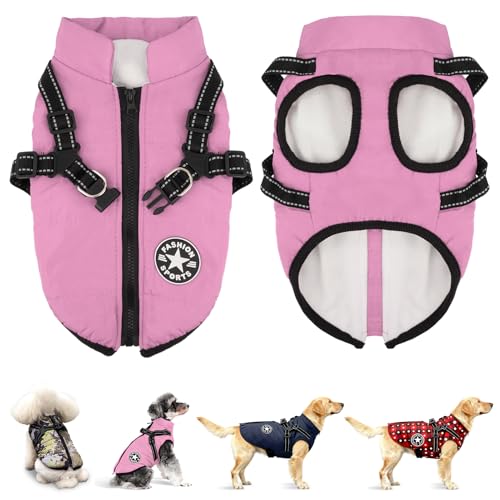 Anzentakai  ~y2025N~̓ozy ȕR[g n[lXt wJ   Ԕ g ybg L   ~ EȒP N ̕ xXg h h  WPbg [hO ^ ^ ^