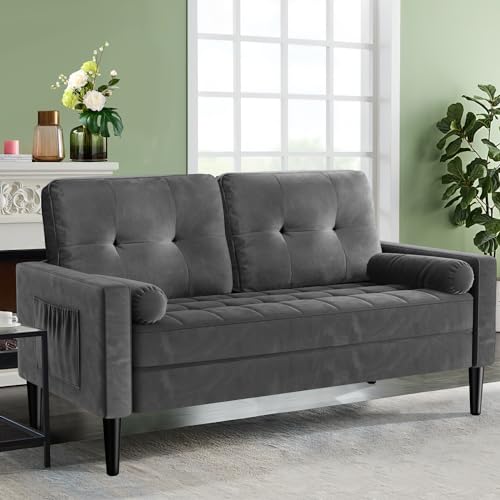 Aotumm Ciort Sofa 2 Seater, Loveseat Sofa Couch with 2 Pillows, C...