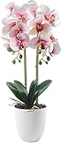 SYMALL Flores Artificiales Plástico Flor de Phalaenopsis Realista Orquídea Mariposa con Maceta Imitación Cerámica Decoración, Rosa 2