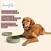 Should We Go? Dog Water Bowl - The Perfect Dish No-Spill, Less Mess Non-Tippable Water & Food Bowl, Pure Silicone with Suction Cup Fits 8 Cups 9.5" Across x 2.5" Tall, Ideal for All Pets, Large-Spruce